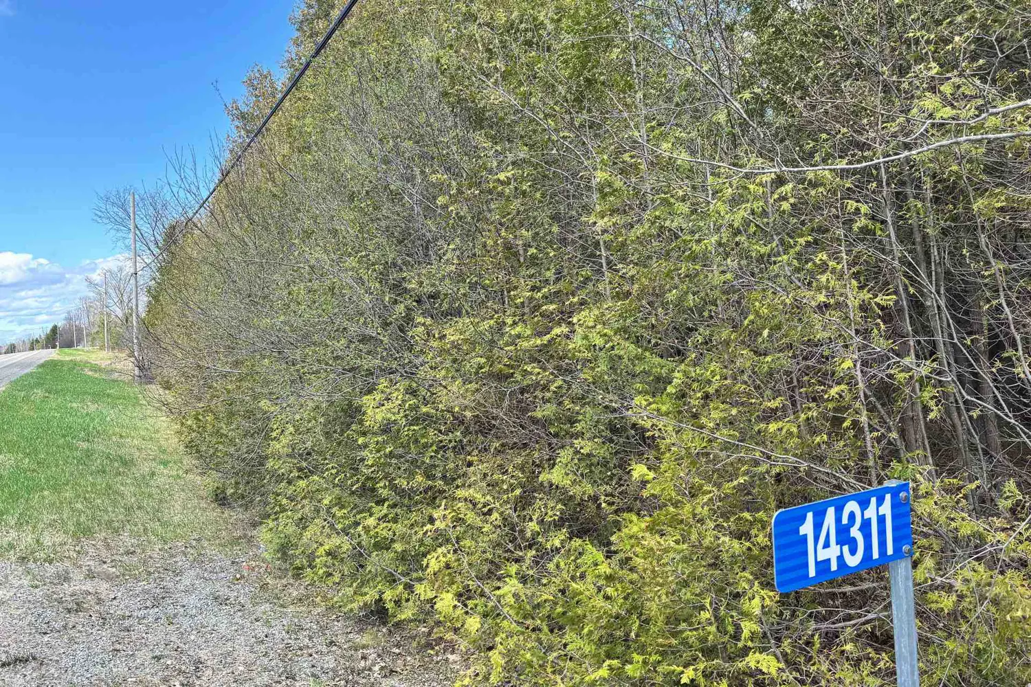 14311 County 15 Road photo 3