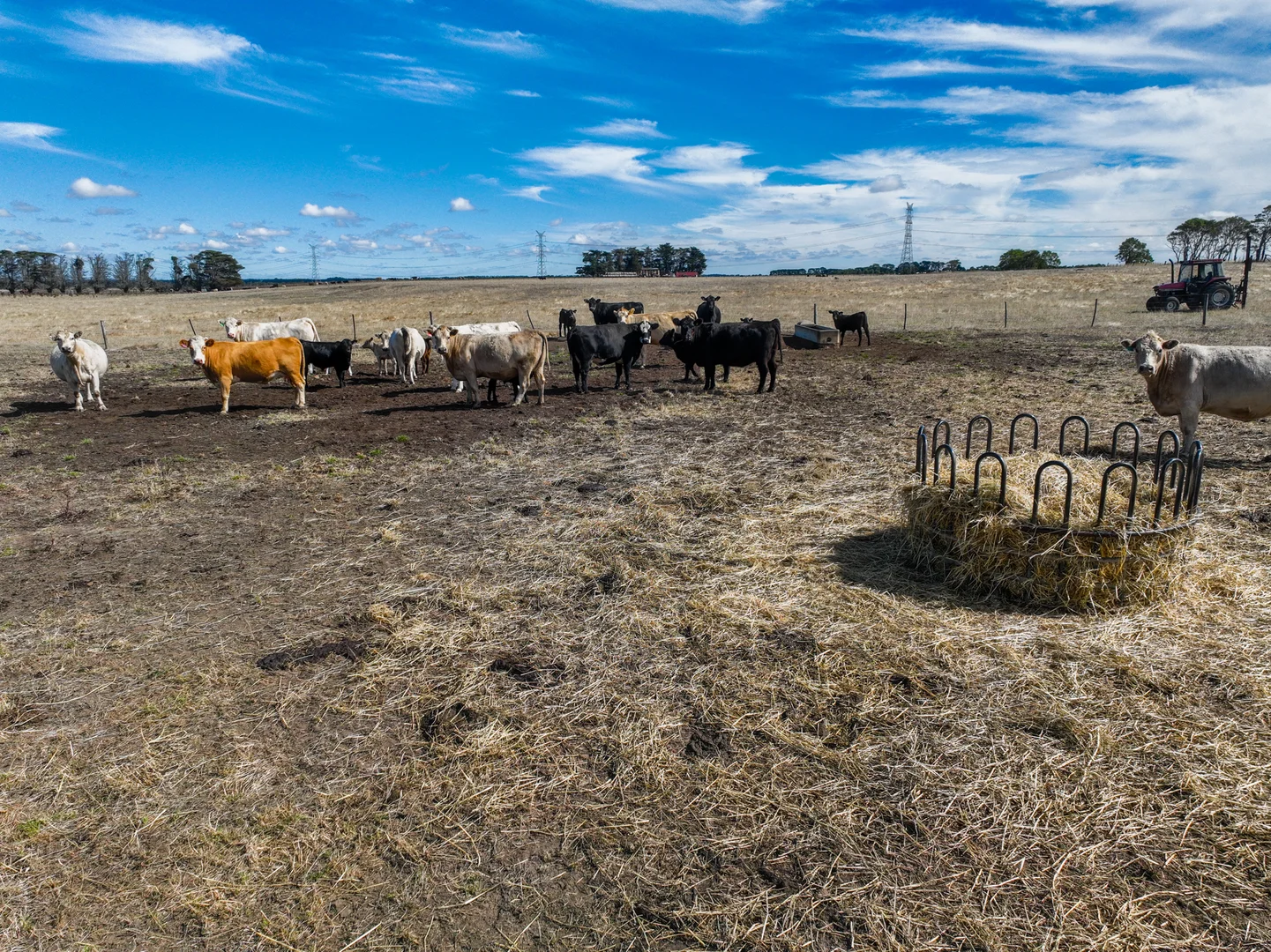 2 Bostocks Road, Woolsthorpe VIC 3276 photo 2
