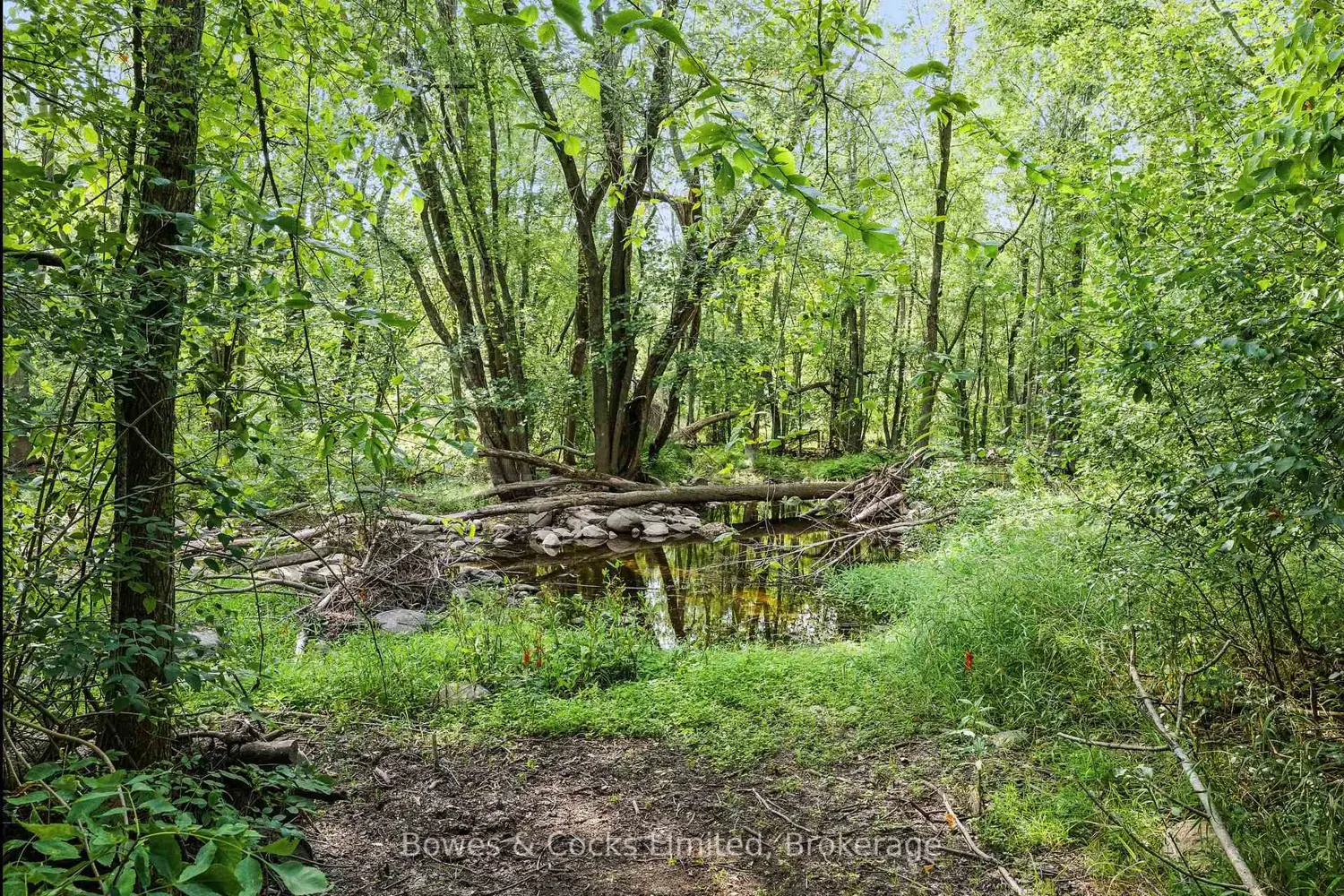 Additional image 11 of 180 Riverside Drive