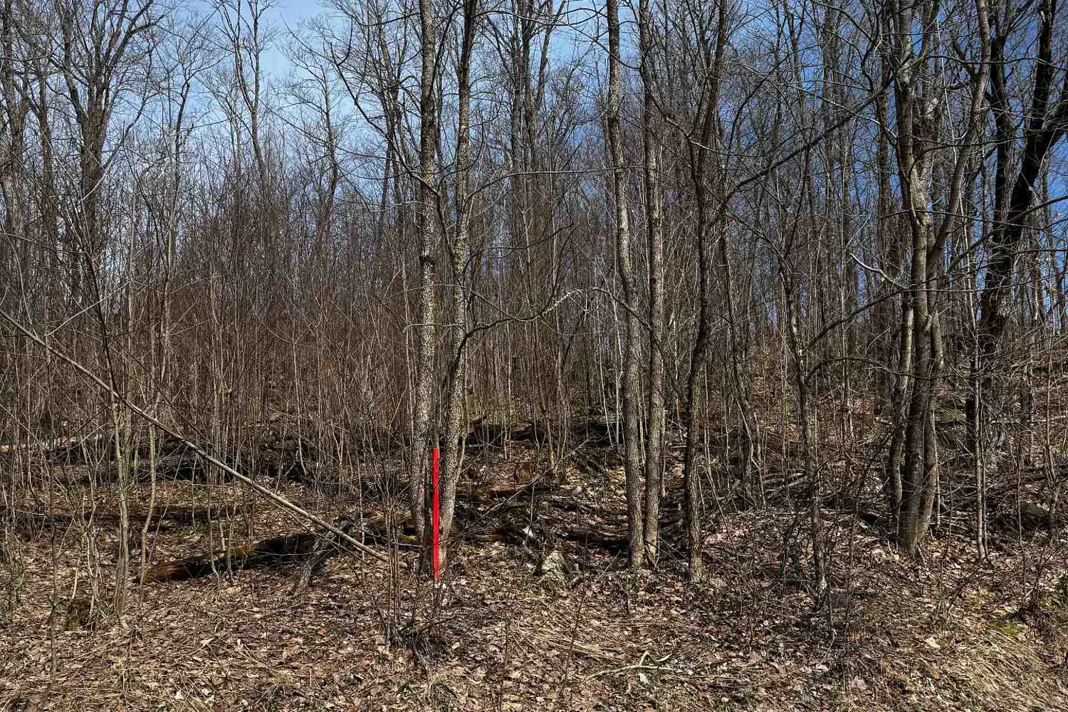 Additional image 15 of Lot 2 Lorimer Lake Road