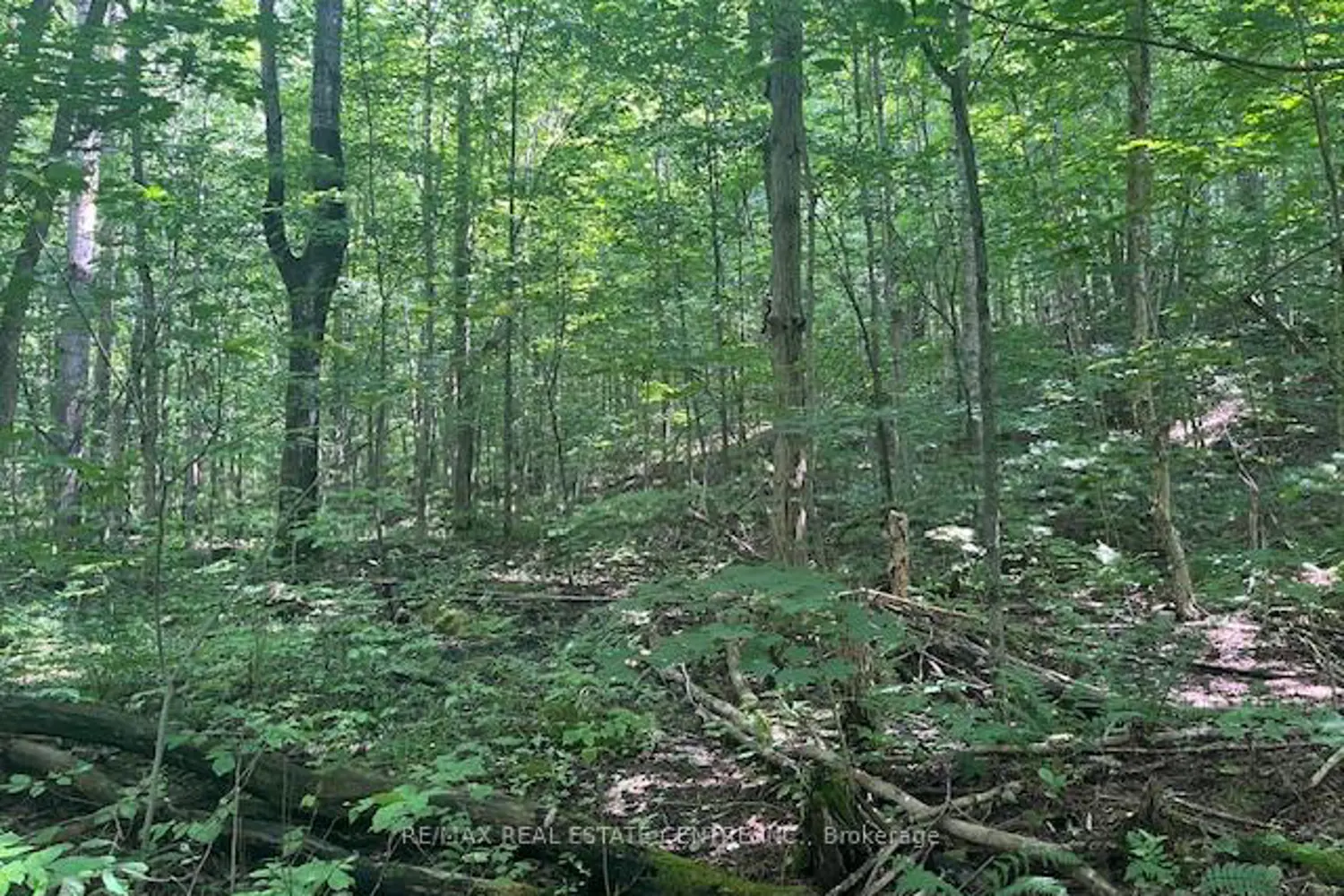 Additional image 14 of Pt Lt44 Chatsworth 24 Road