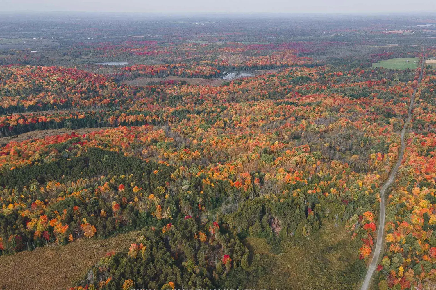 Additional image 14 of Lot 7 10Th Concession B Road