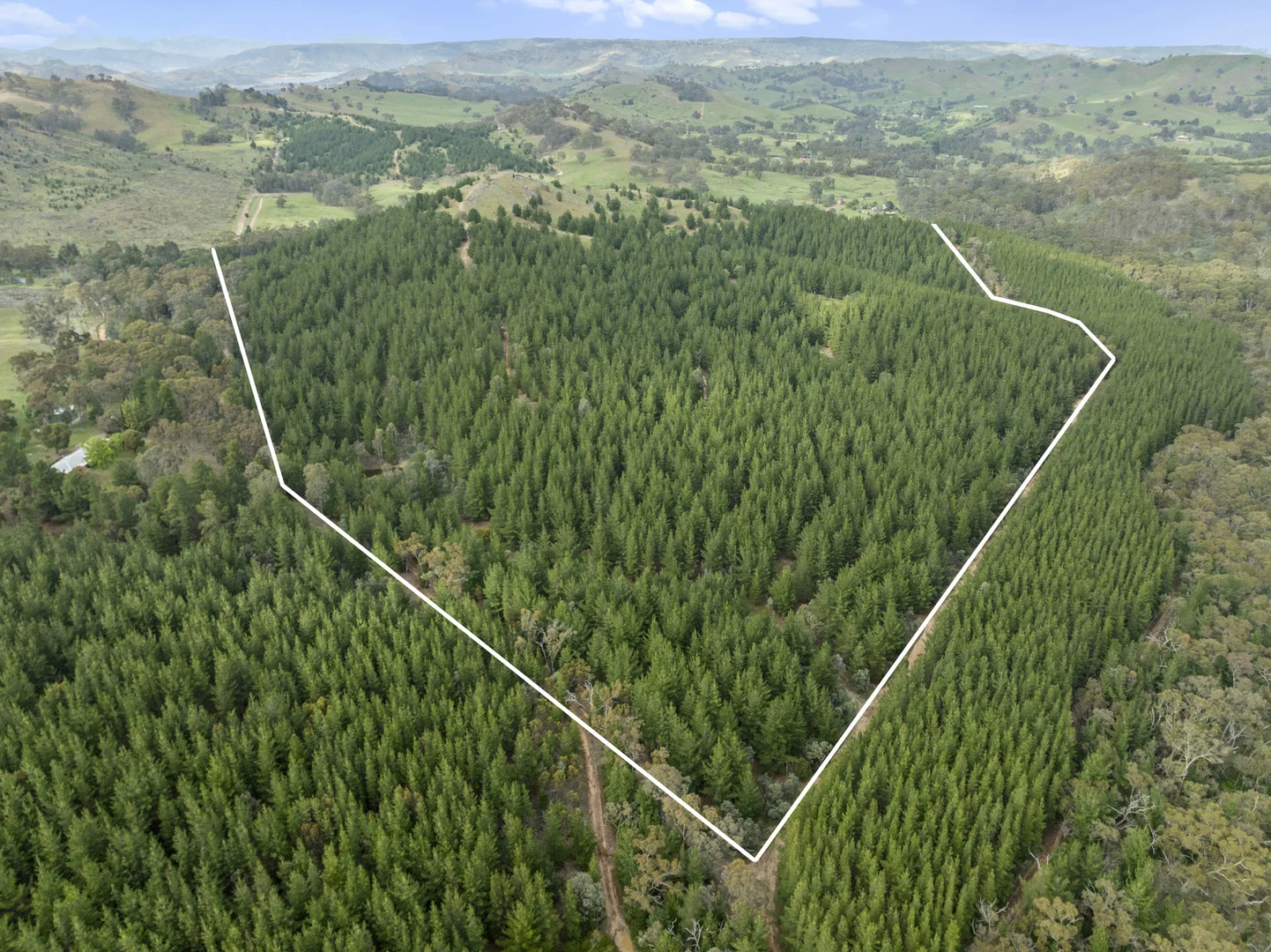 Additional image 9 of 259 Hells Hole Creek Road, Bonnie Doon VIC 3720