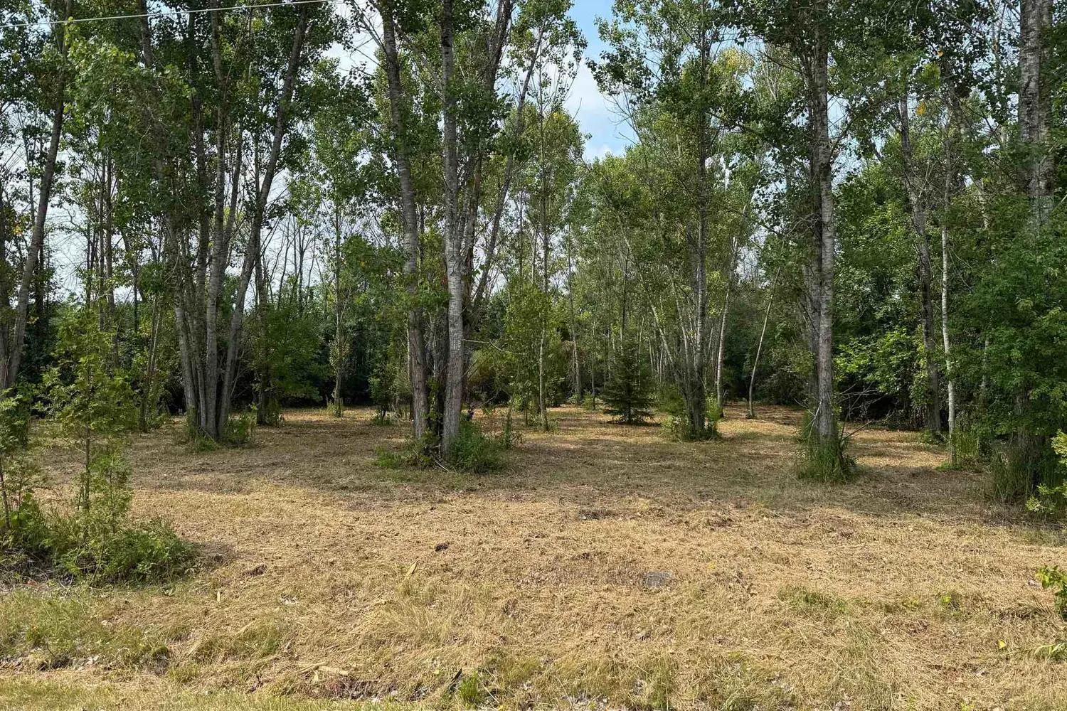 Additional image 3 of Lot Archer Road