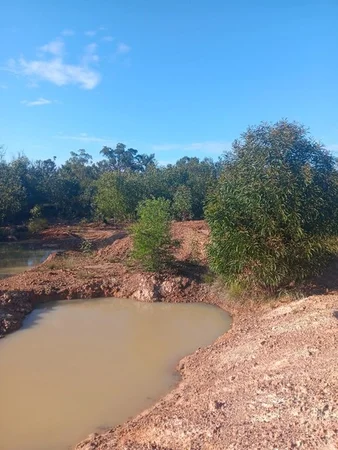 Additional image 14 of 872 South Road, Tara QLD 4421