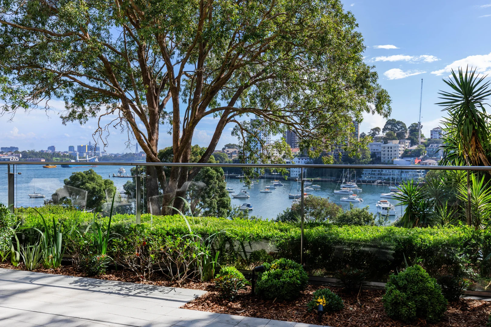 Additional image 11 of 2/6 Cliff Street, Milsons Point NSW 2061
