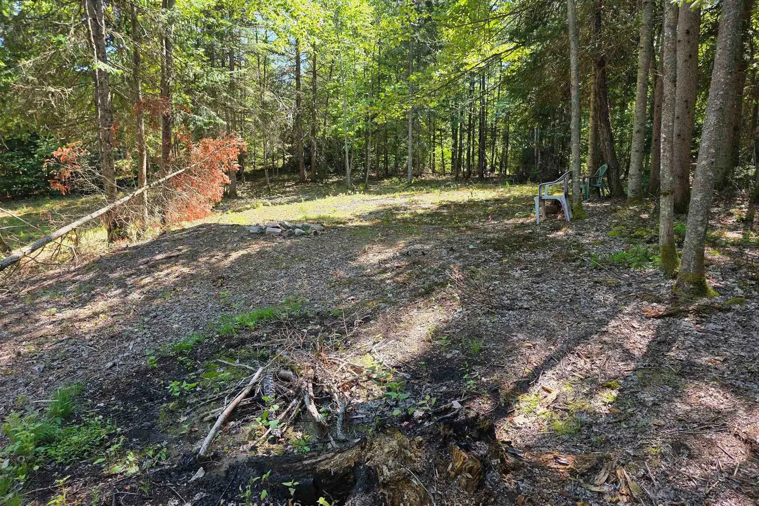 Additional image 11 of 00 Whitney Road
