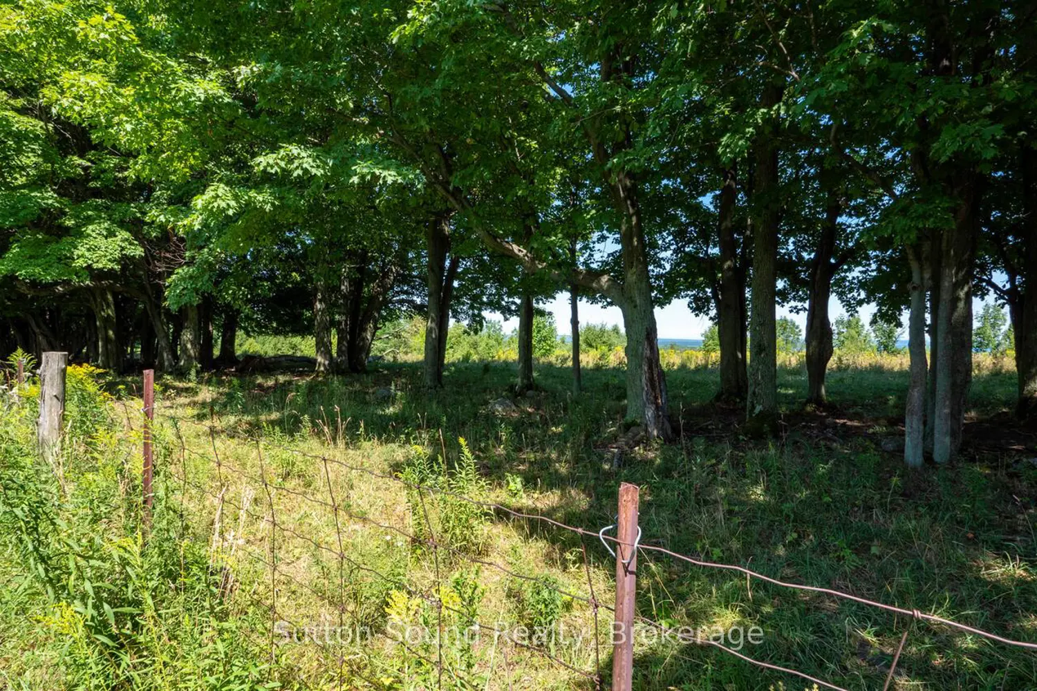 Additional image 17 of Lt 38 Grahams Hill Road