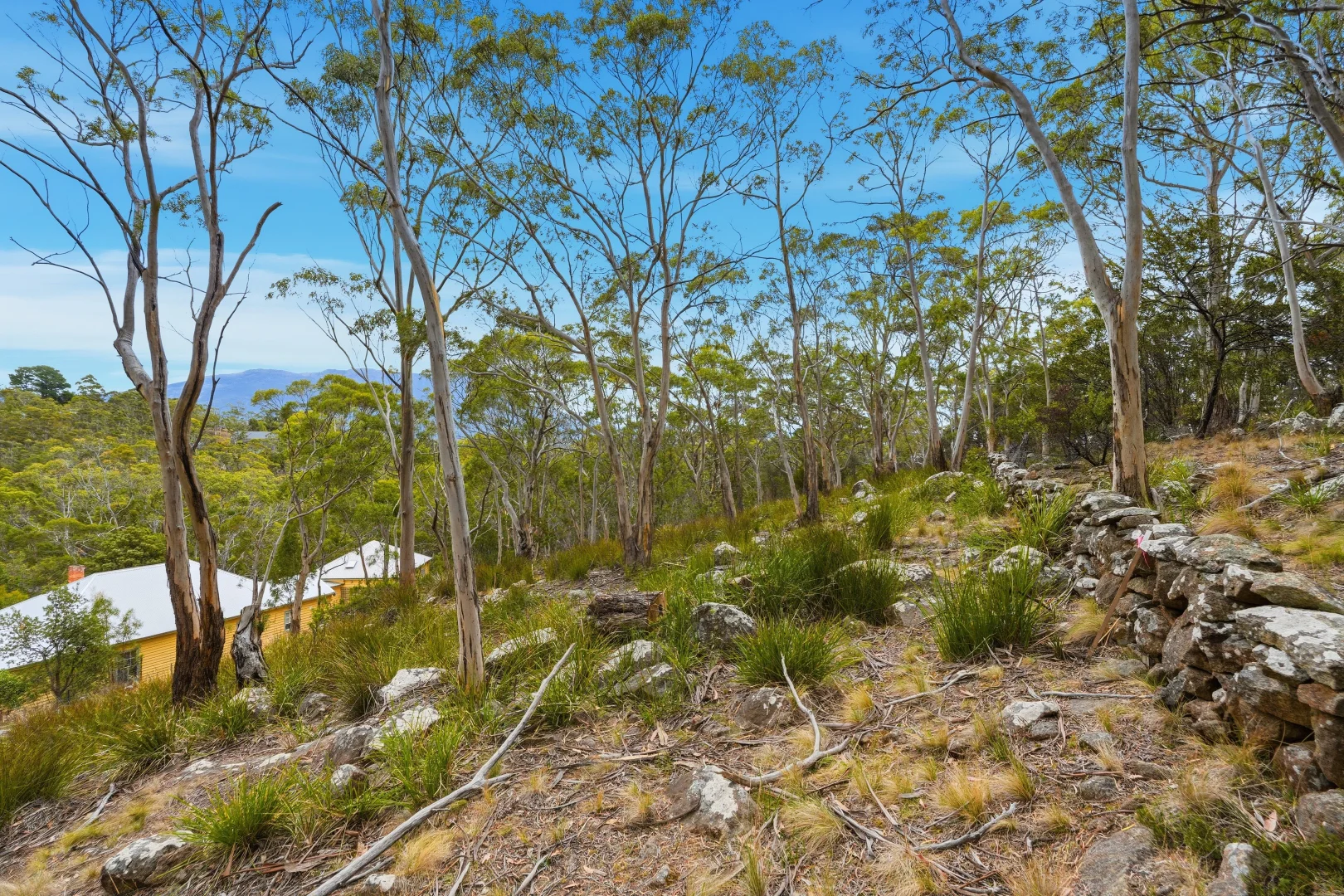 Additional image 15 of Lot Lot 2/649B Nelson Road, Mount Nelson TAS 7007