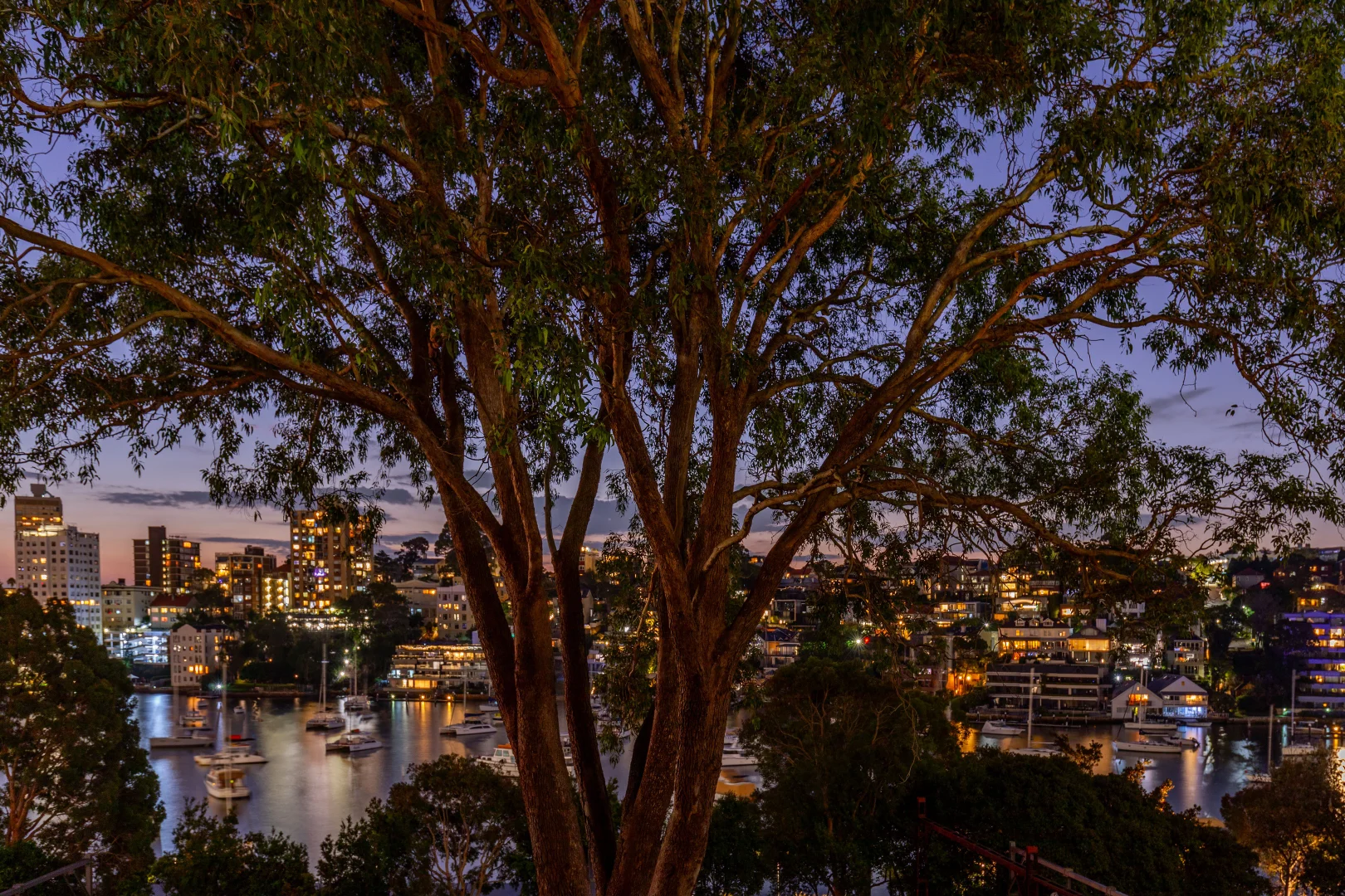 Additional image 25 of 2/6 Cliff Street, Milsons Point NSW 2061