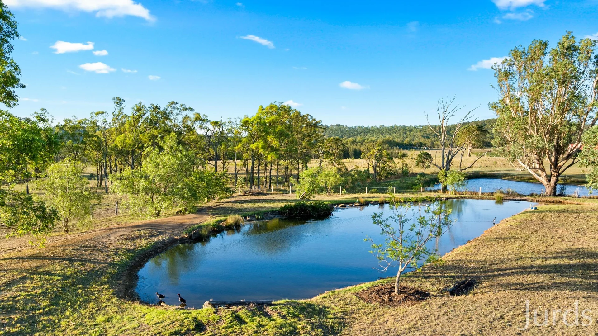 Additional image 24 of 192 Wilderness Road, Lovedale NSW 2325