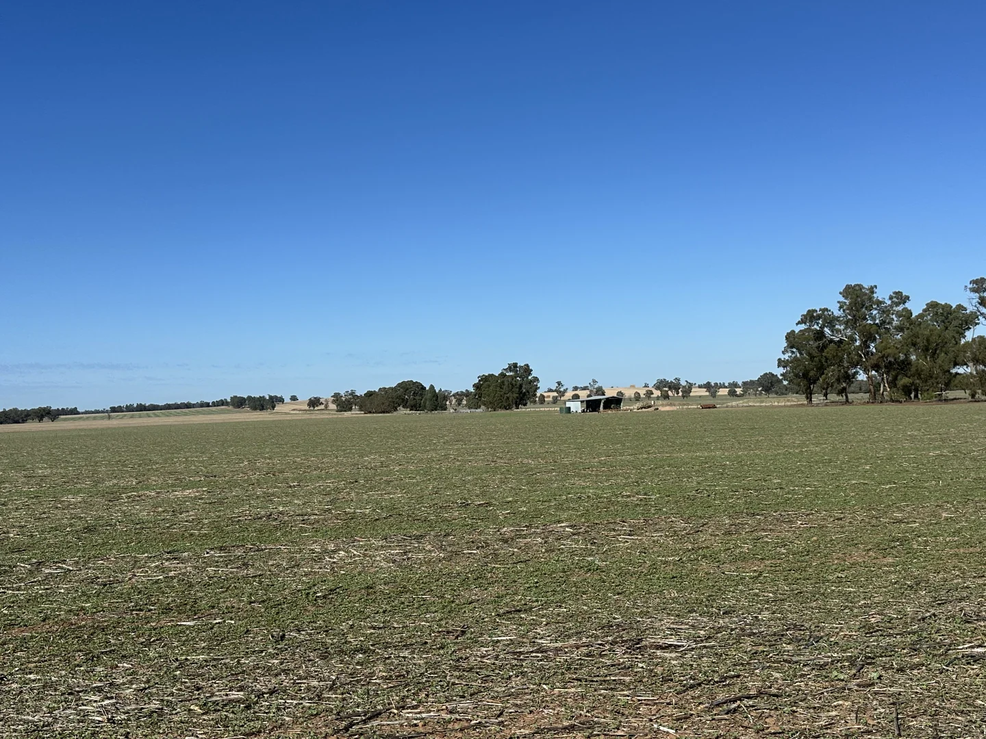 Additional image 8 of . Lilydale Road, Balldale NSW 2646
