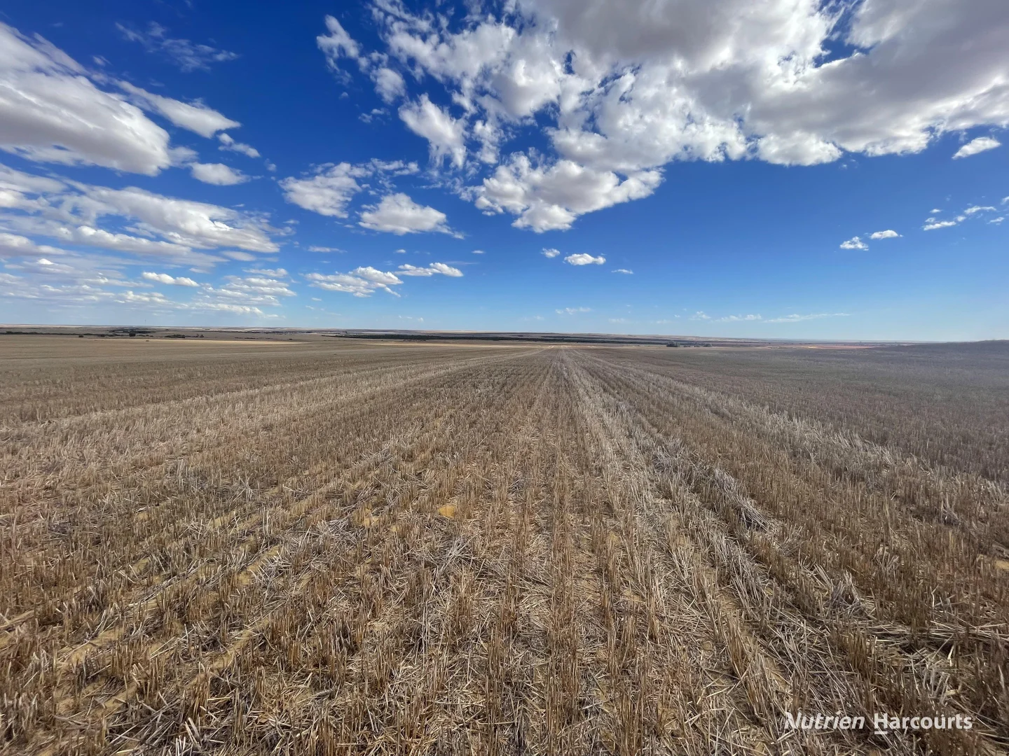 Additional image 2 of . McRoberts Road, Tenindewa WA 6632