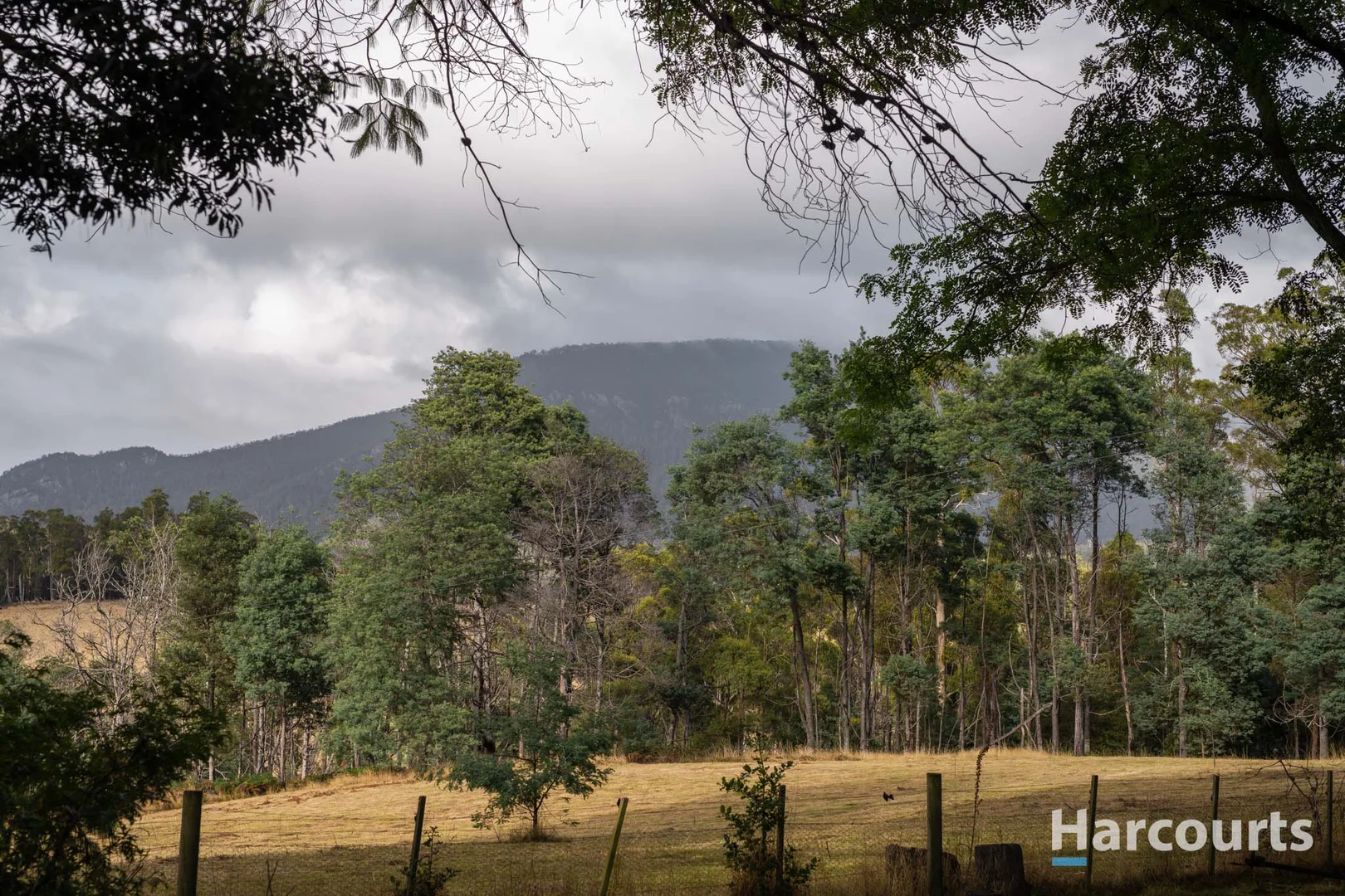 Additional image 32 of 54 Chesneys Road, Dunorlan TAS 7304