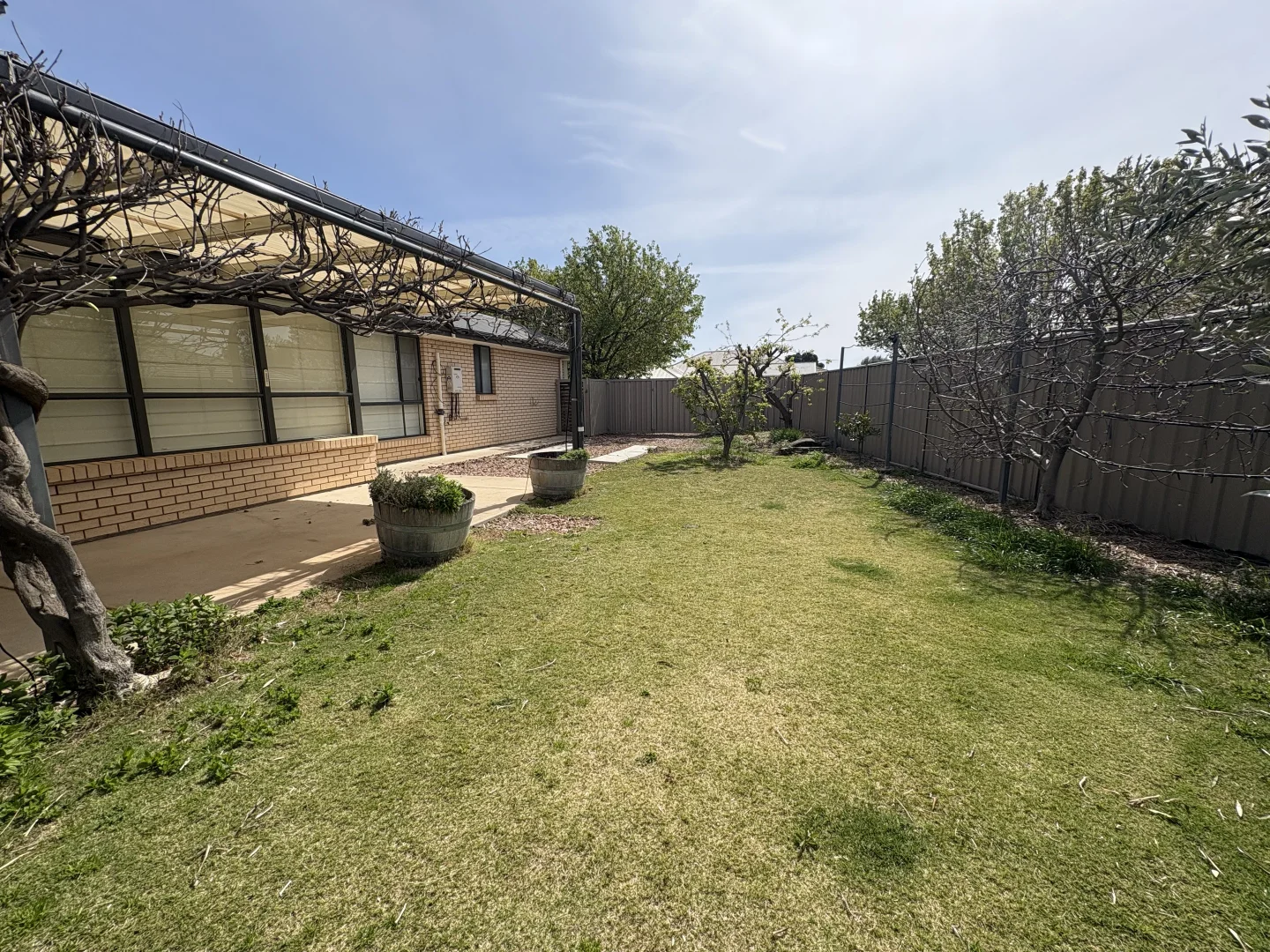 Additional image 16 of 12 Laffer Avenue, Nuriootpa SA 5355