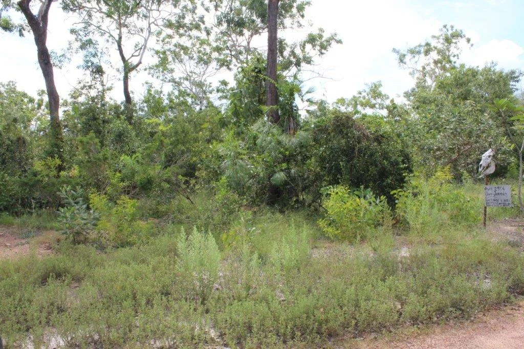Additional image 5 of 155 Serrata Road, Dundee Downs NT 0840