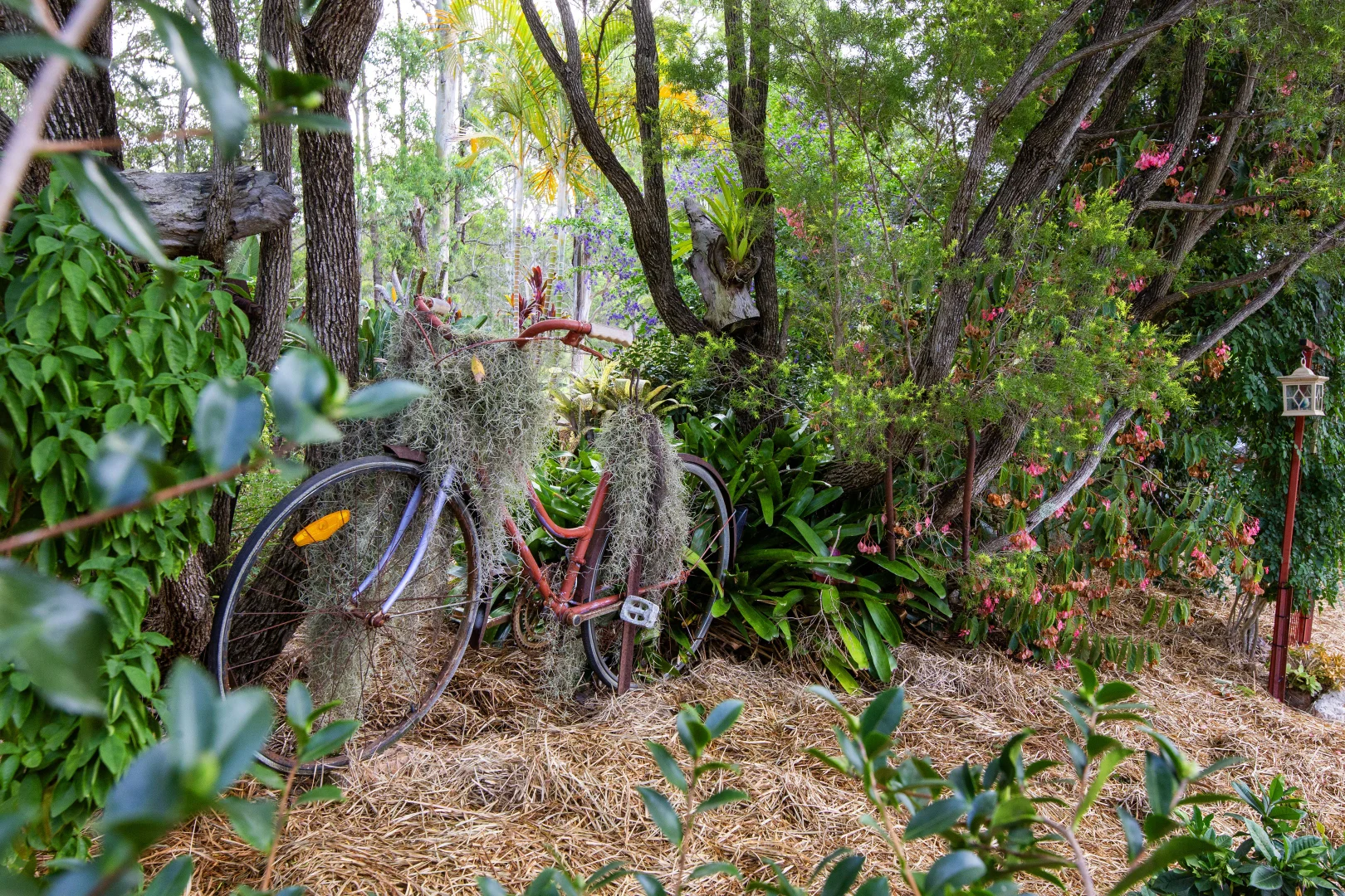 Additional image 37 of 178 Cedar Party Road, Taree NSW 2430