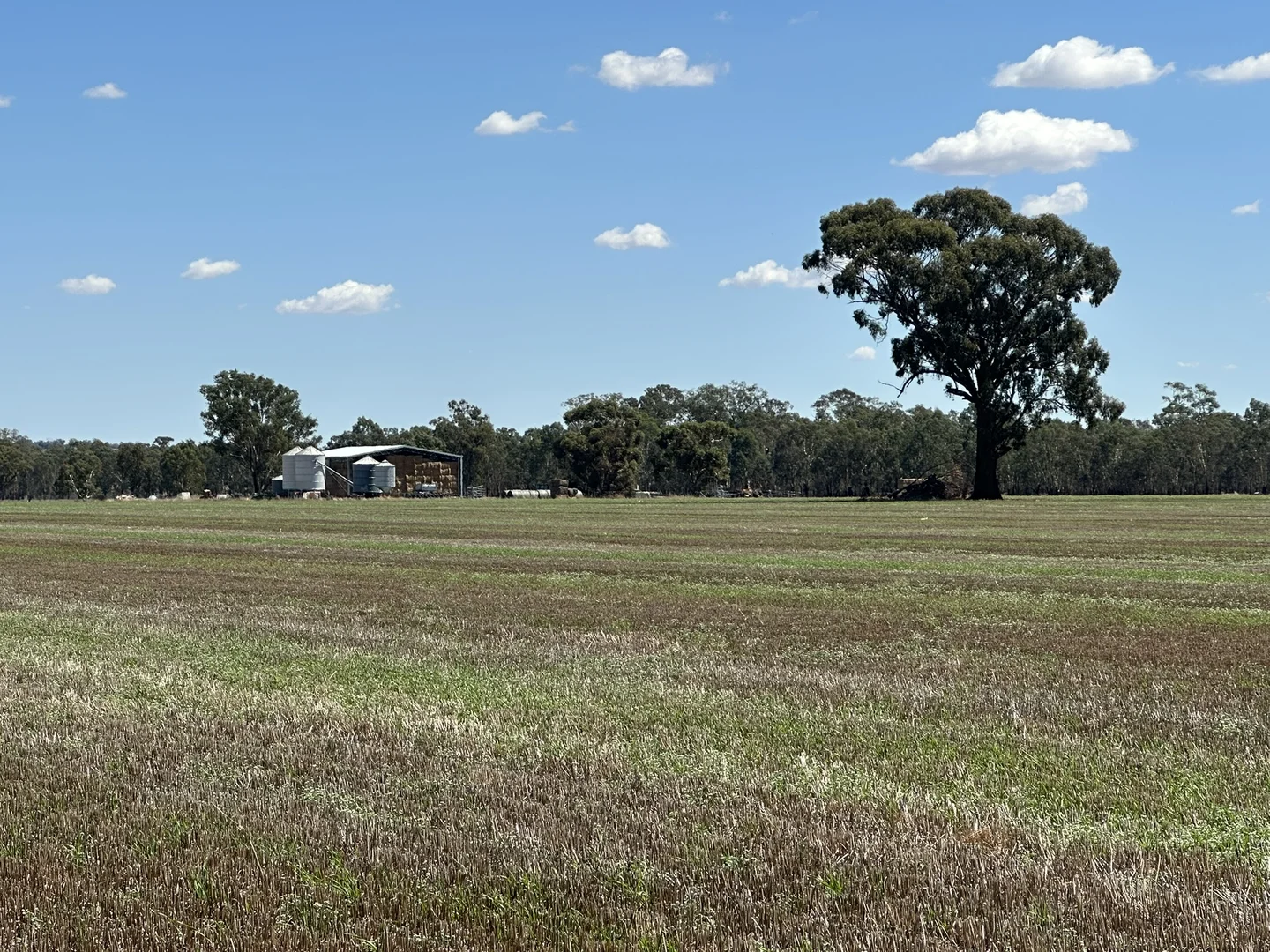 Additional image 4 of 1501 Howlong-Goombargana Road, Brocklesby NSW 2642