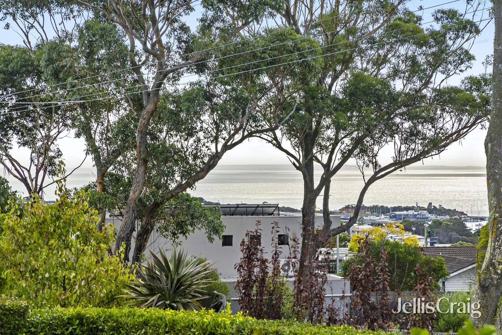 Additional image 16 of 163 Barkly Street, Mornington VIC 3931