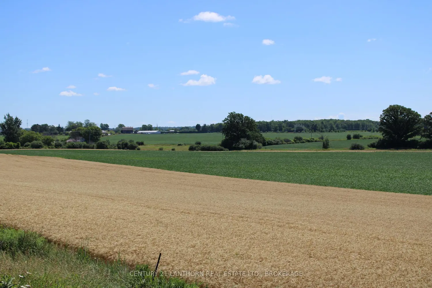 Lt15-16 County Road 1 photo 2