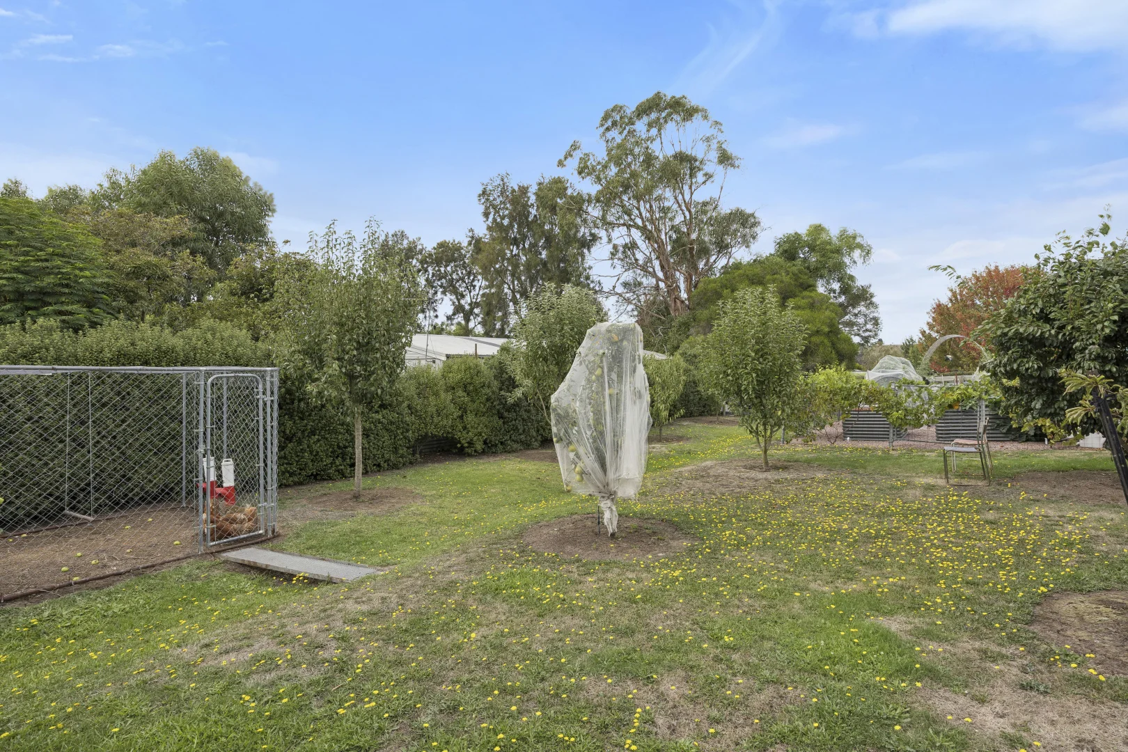 Additional image 23 of 105 Bowen Street, Camperdown VIC 3260