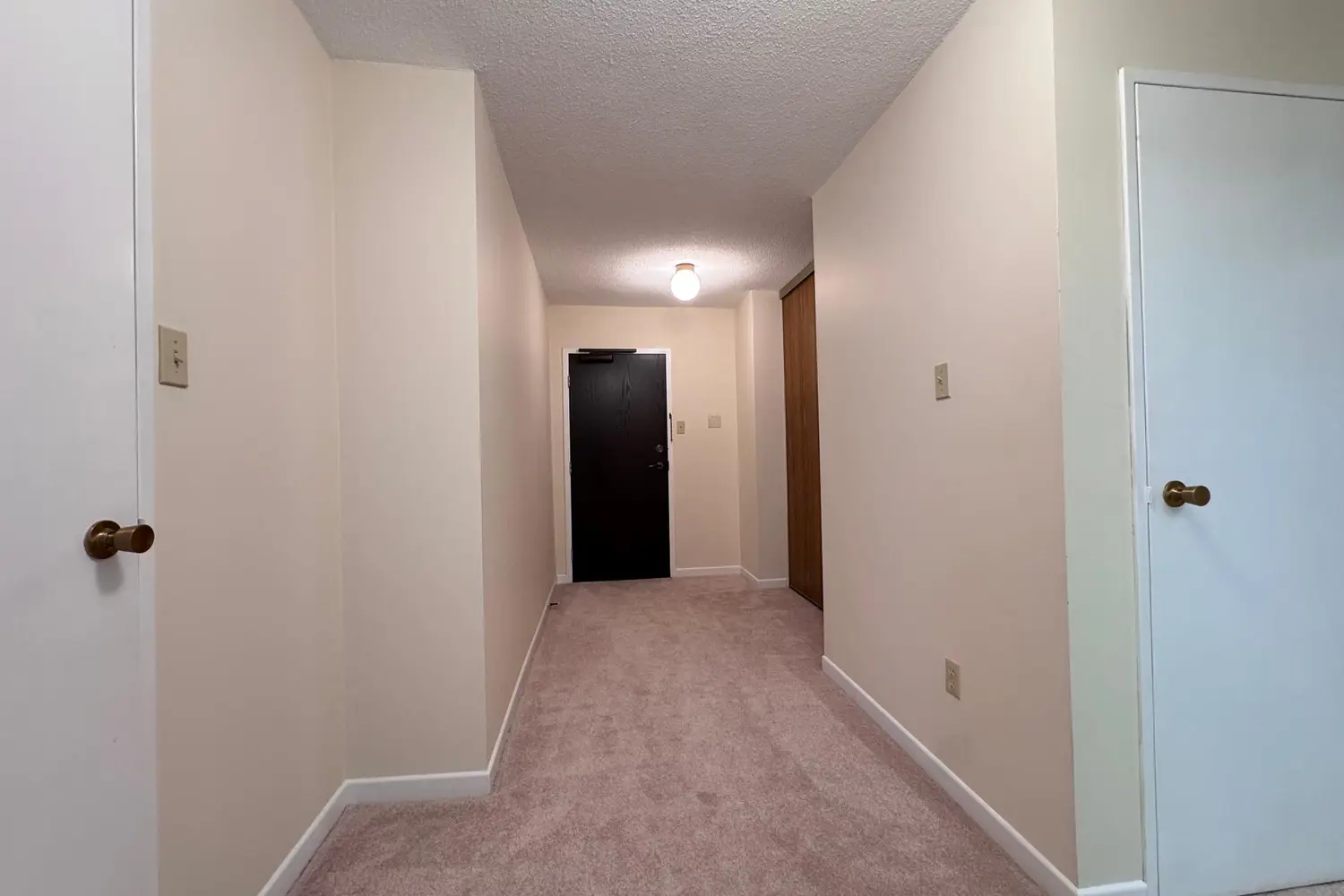 Additional image 5 of 62 Wellesley Street 1801