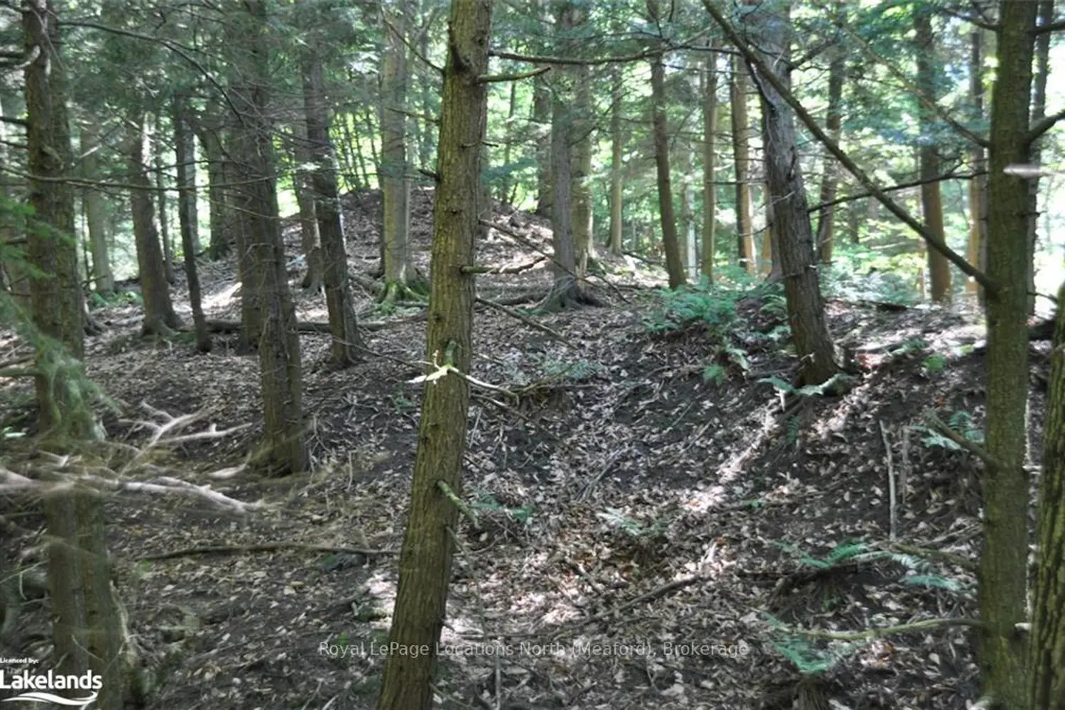 Additional image 15 of Lot 21 Bayshore Road