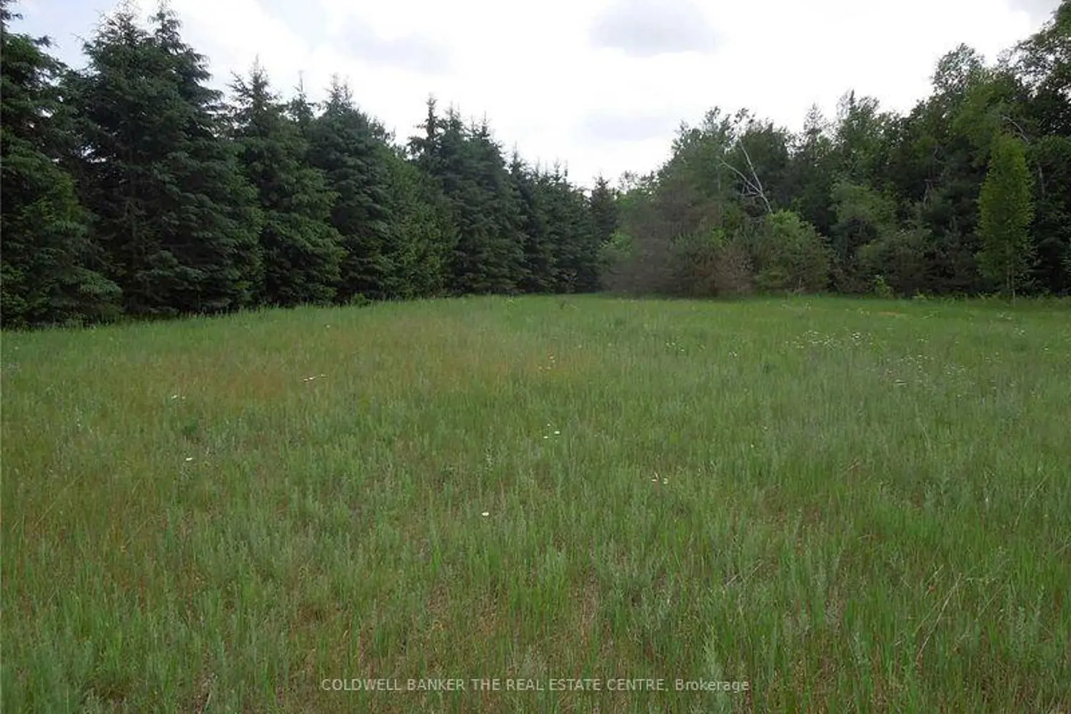 6 Tioga Boulevard photo 3