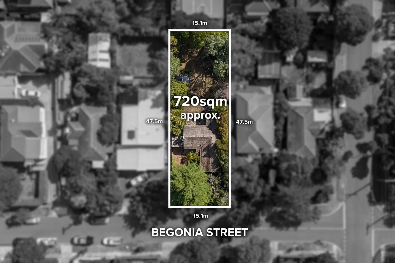 23 Begonia Street, Box Hill South VIC 3128