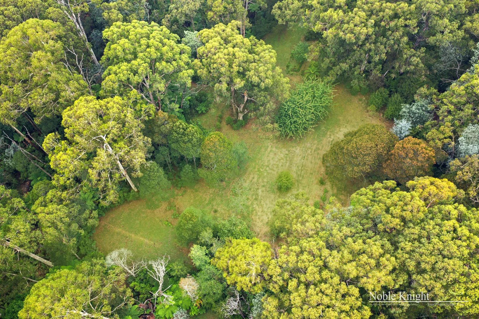 Additional image 14 of 424 Old Warburton Road, Warburton VIC 3799
