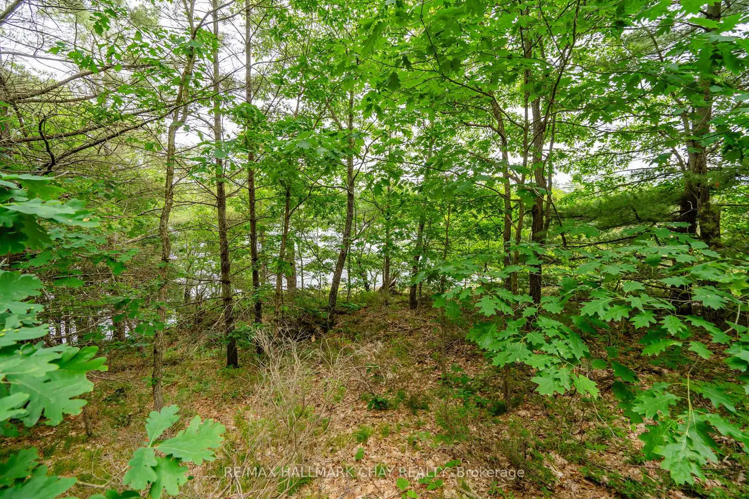 Additional image 16 of Lot 2 Delta Road
