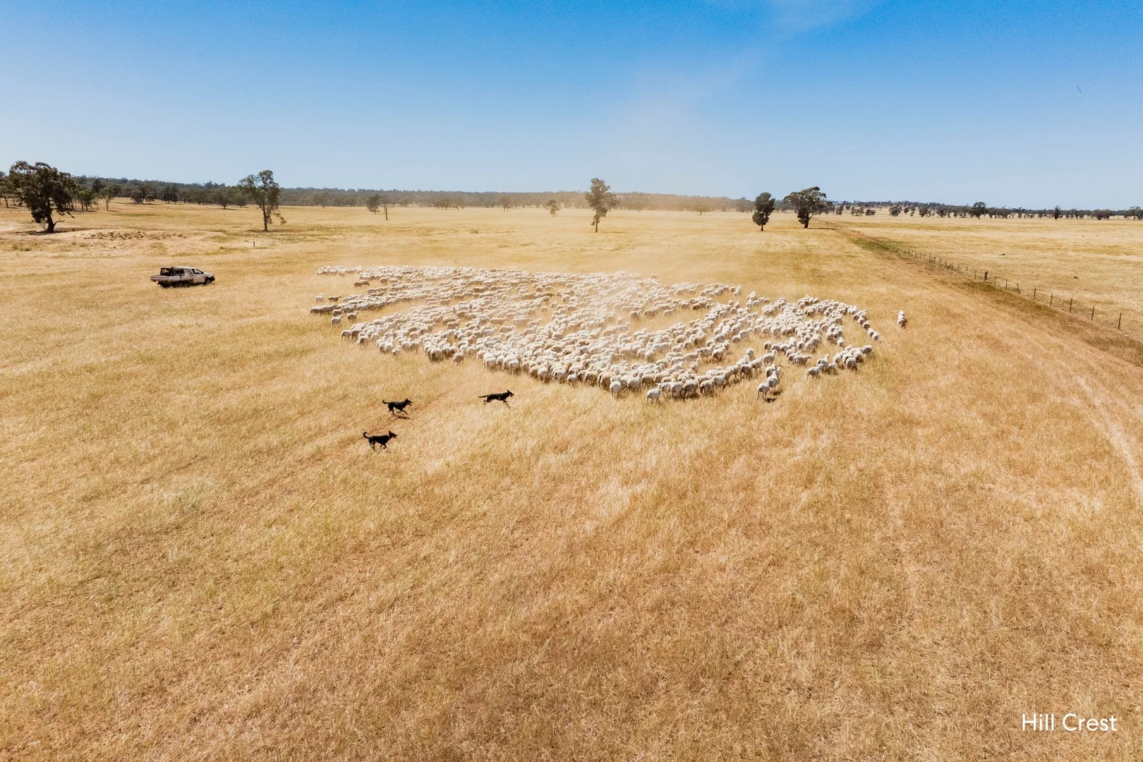 Additional image 3 of Kamarah Road, Narrandera NSW 2700
