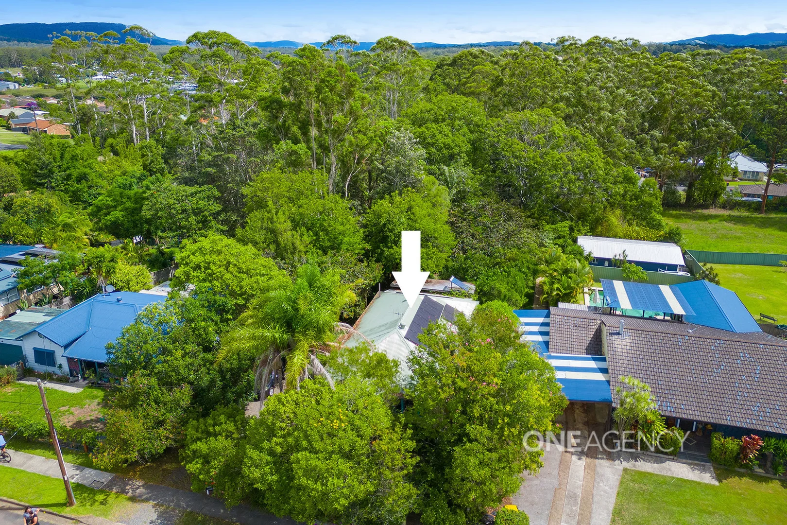 Additional image 18 of 117 High Street, Wauchope NSW 2446
