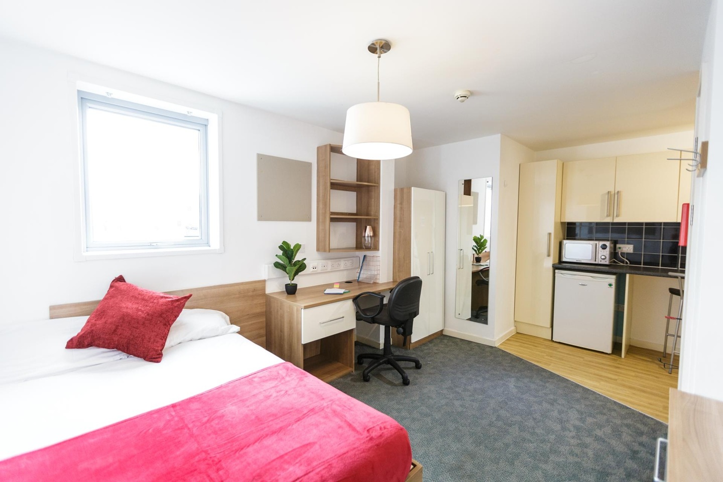 Additional image 12 of Studio Flat, Holloway Road, N7, N1 7GU