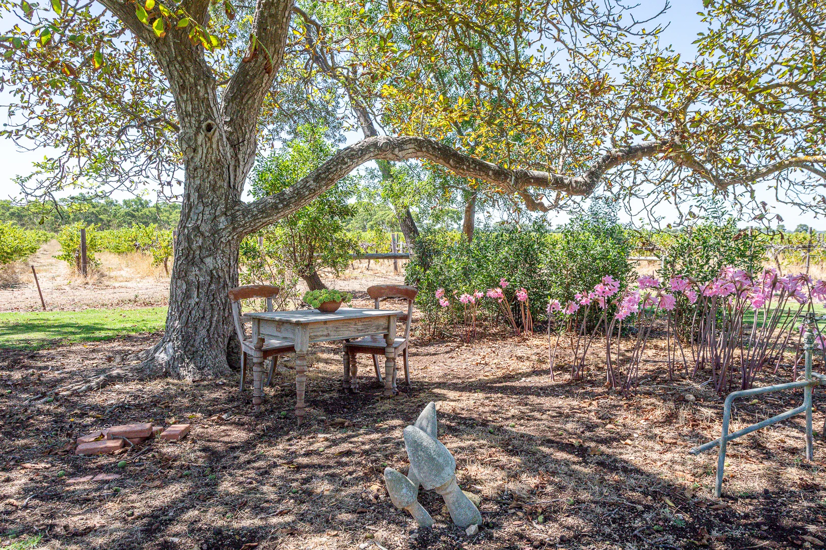 Additional image 22 of 322 Giles Road, Coonawarra SA 5263