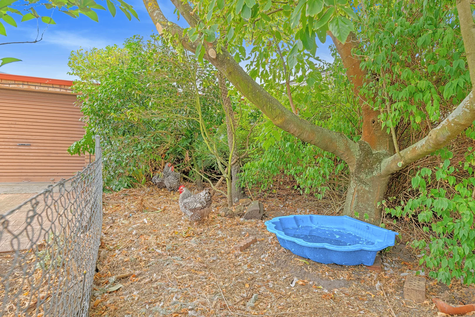 Additional image 25 of 24 Kurannup Road, Bayonet Head WA 6330