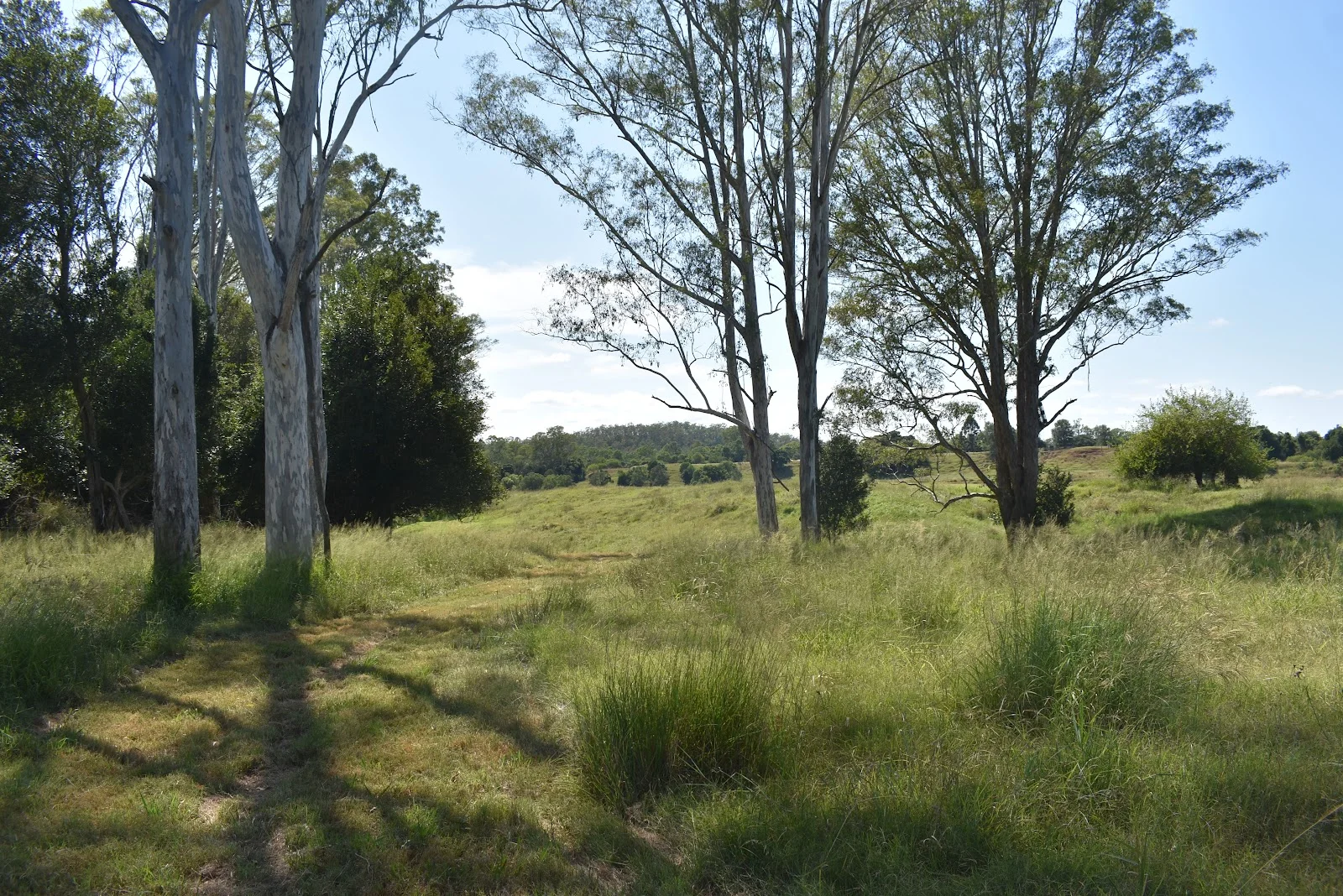 Additional image 11 of lot 103 Pidgeons Road, Tiaro QLD 4650