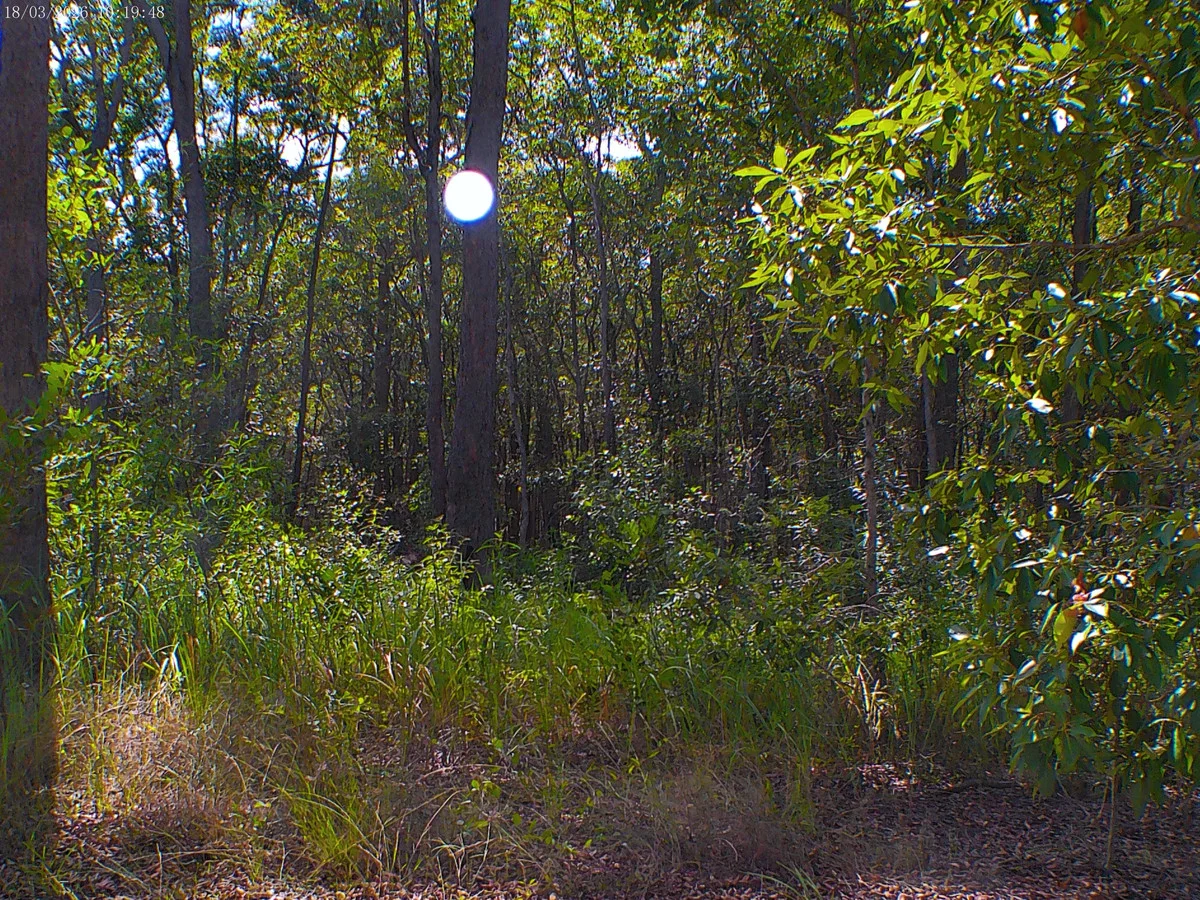 Additional image 8 of 2/71 Bartholdt Drive, Branyan QLD 4670