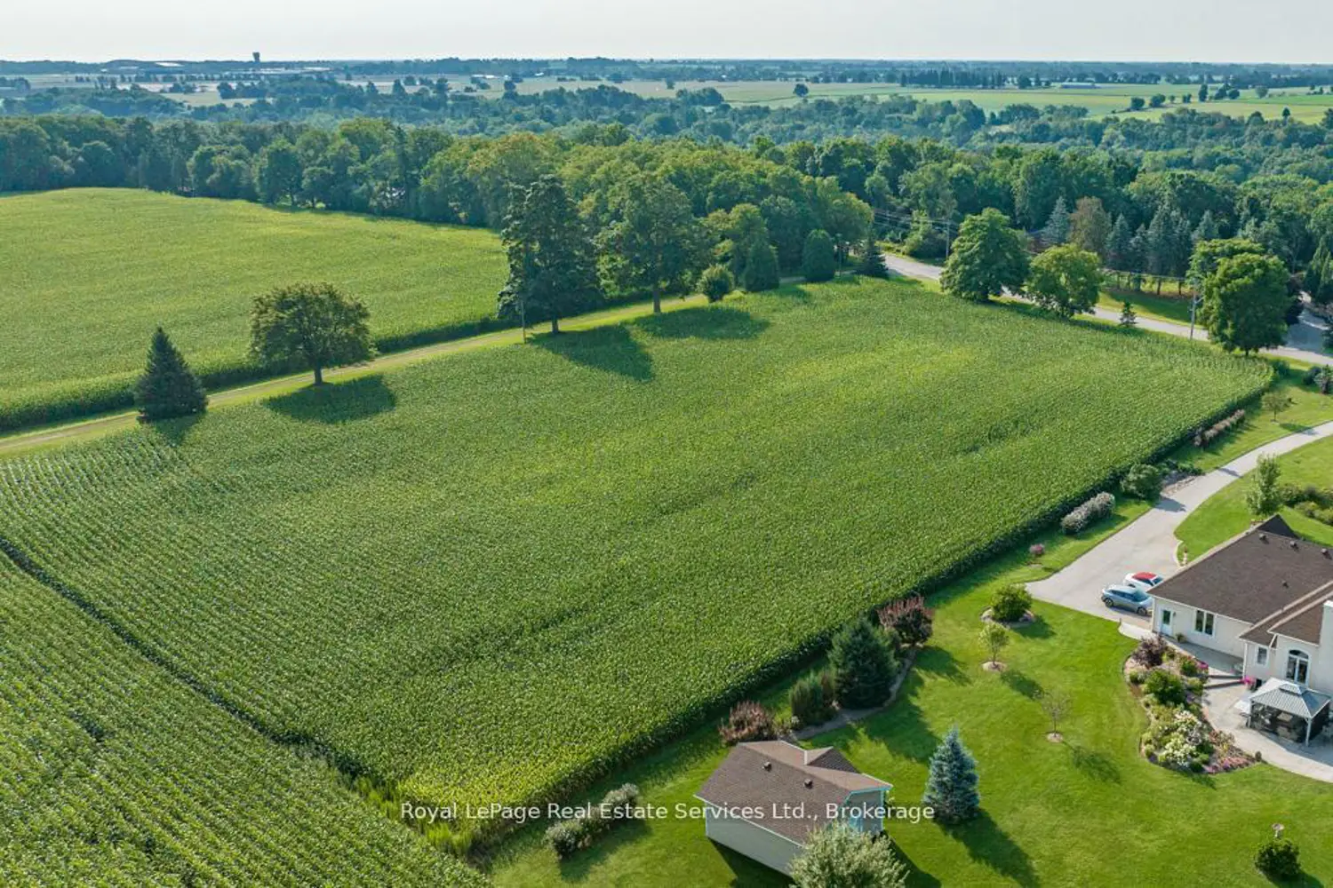 Additional image 4 of 361 Robinson Road