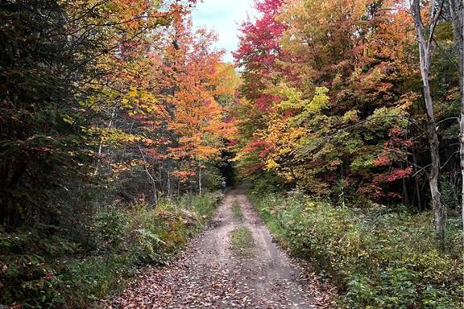 Additional image 12 of 1759 Alsace Road