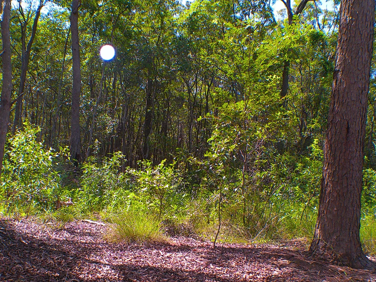 Additional image 6 of 2/71 Bartholdt Drive, Branyan QLD 4670