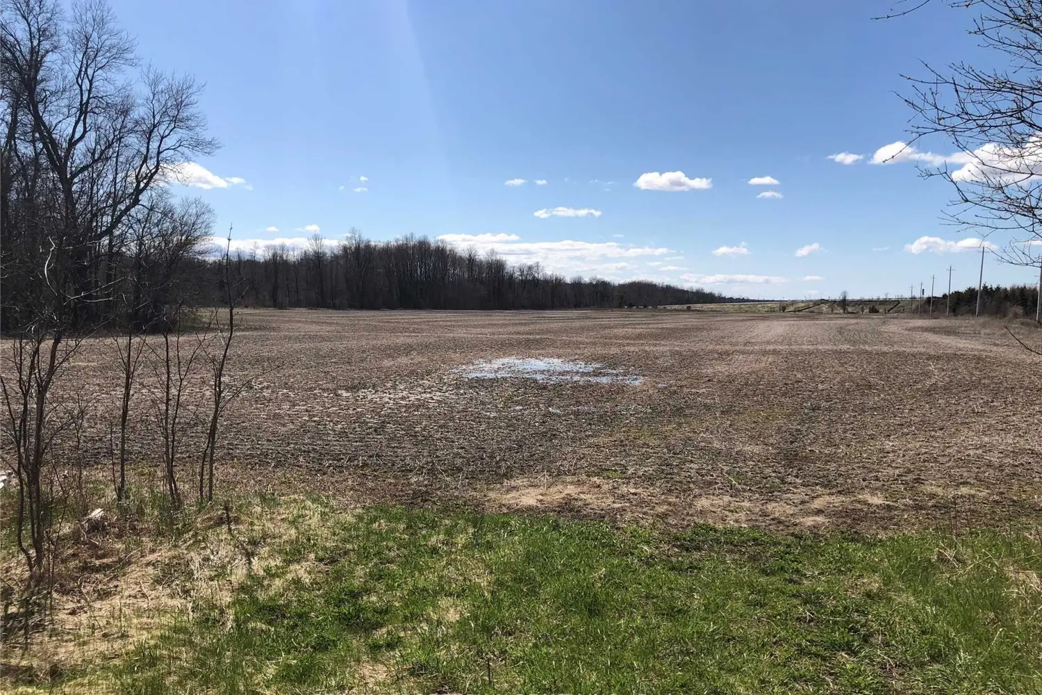 476 Penetanguishene Road photo 5
