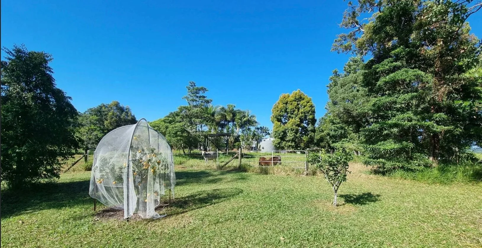 Additional image 6 of 91 Mary Jane Drive, Julatten QLD 4871