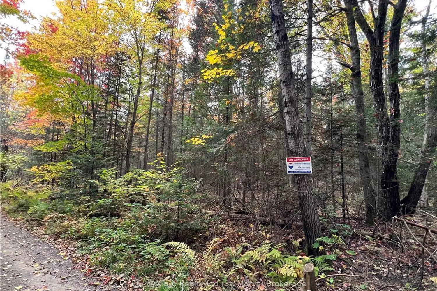 Additional image 13 of 1759 Alsace Road