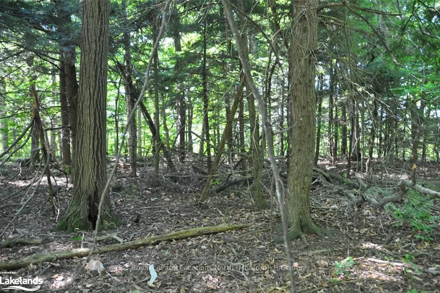 Additional image 8 of Lot 21 Bayshore Road