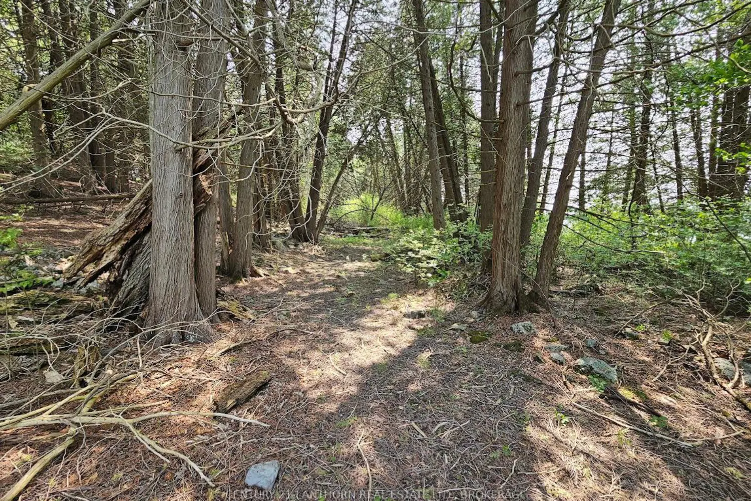 Additional image 10 of 0000 Cedarstone Road
