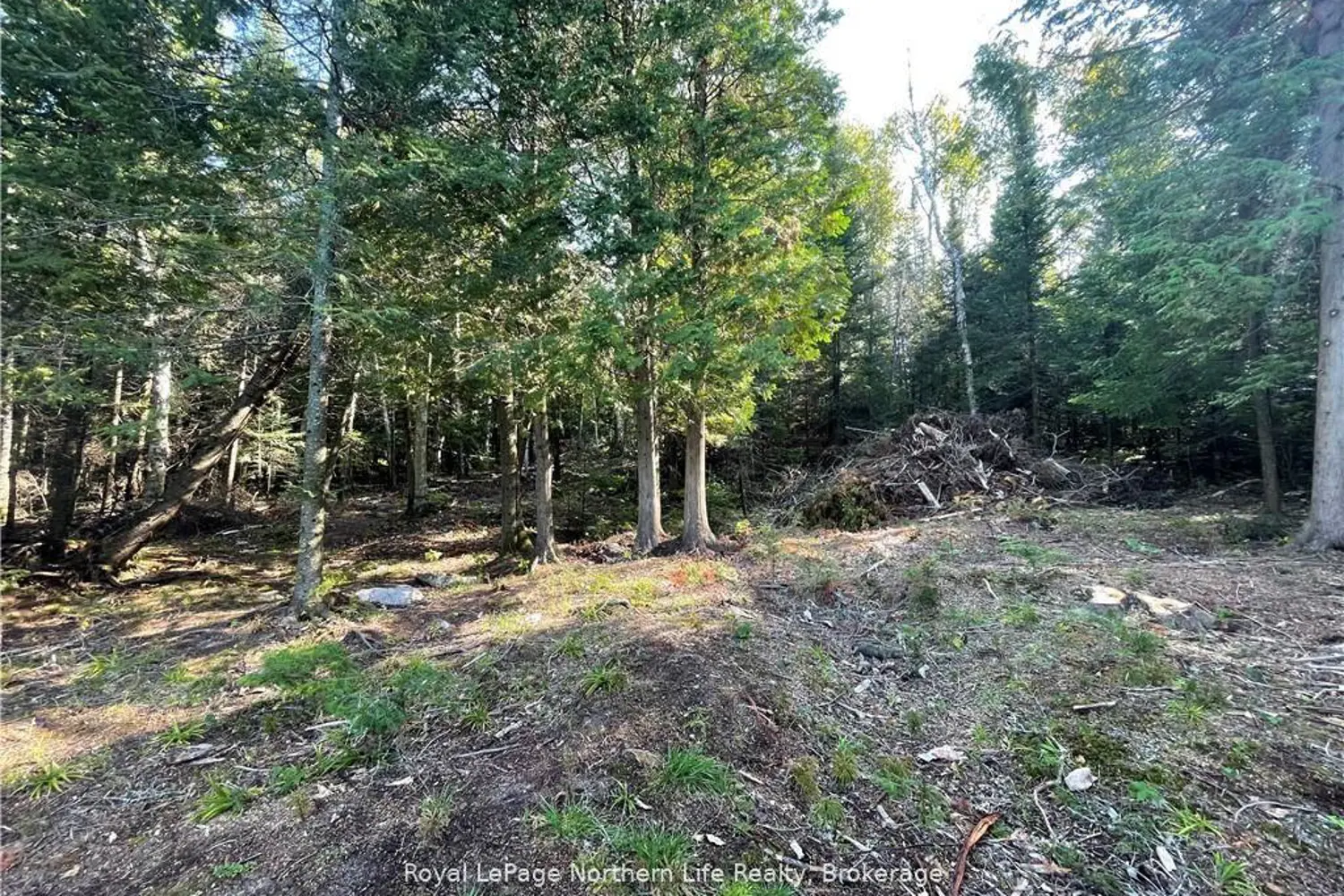 Additional image 4 of 1945 Alsace Road