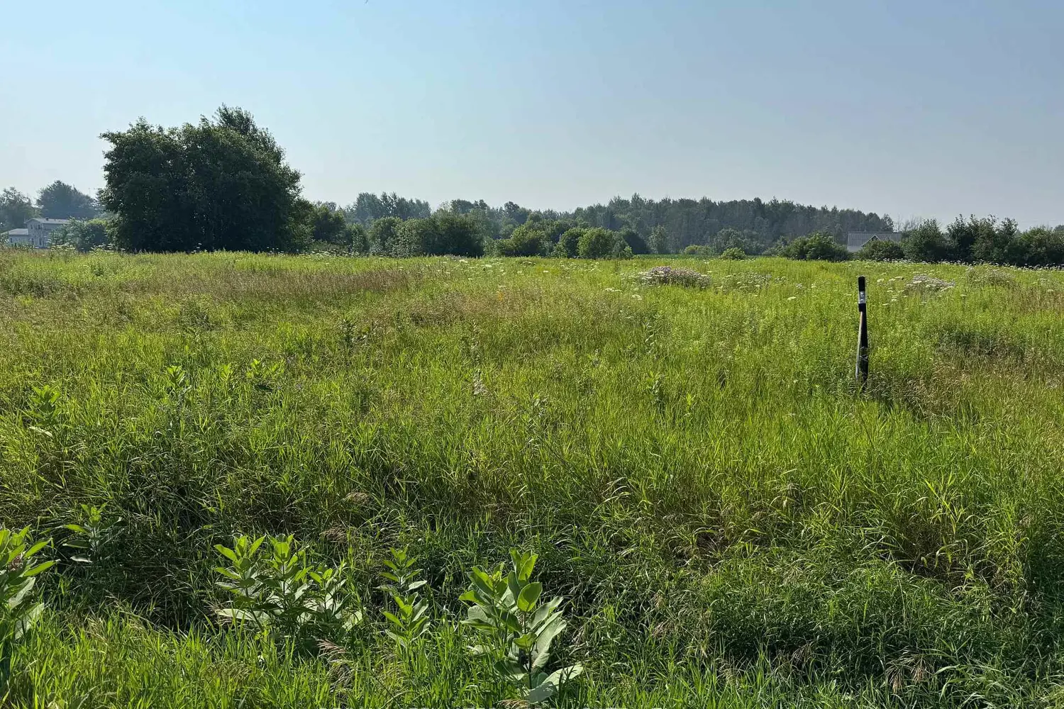 Additional image 4 of Lot South Branch Road