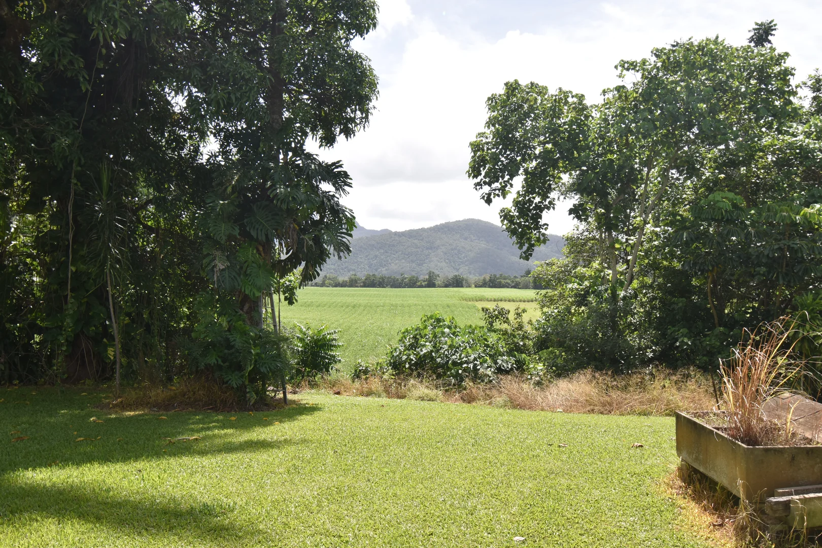 Additional image 19 of 962 Abergowrie Road, Trebonne QLD 4850