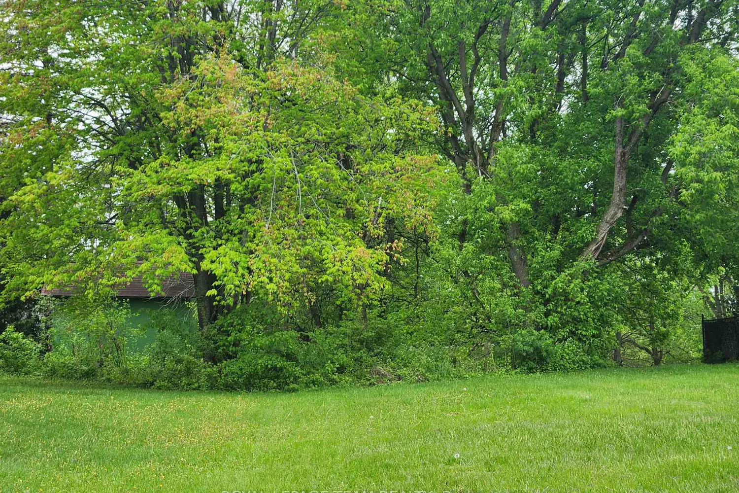 Additional image 9 of 3787 Carp Road